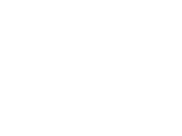 Logo Berl